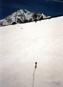 Königspitze  I