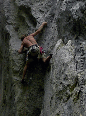 Fuchsfelsen Donautal D