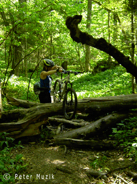 MTB Alb D